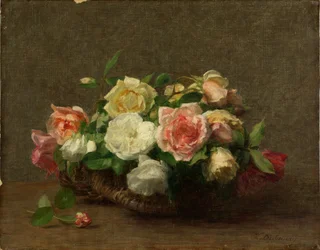 Rosor